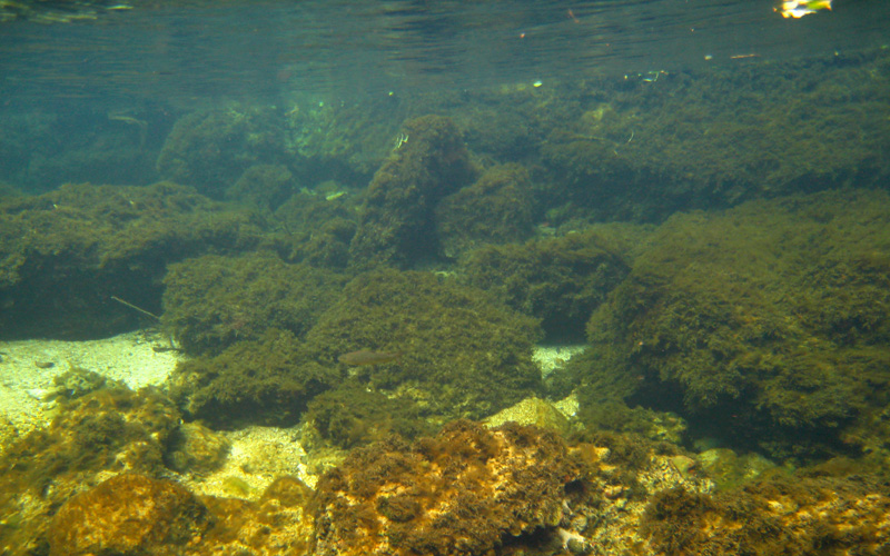 Immersione in fiume austriaco